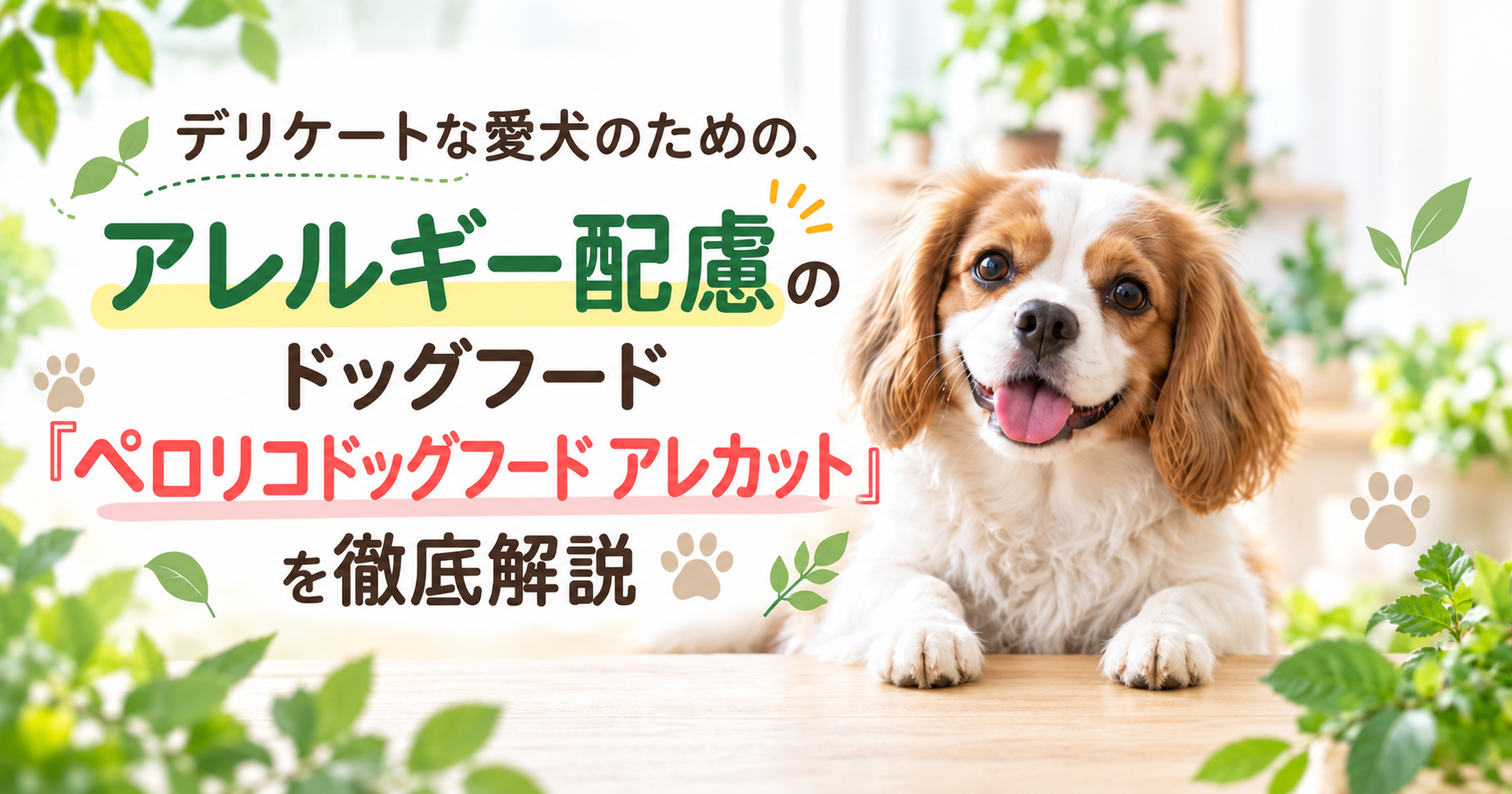 デリケートな愛犬のための、アレルギー配慮のドッグフード「ペロリコドッグフード アレカット」を徹底解説