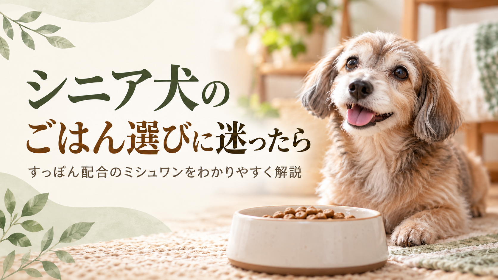 シニア犬のごはん選びに迷ったら | すっぽん配合のシニア犬トータルサポートフード、ミシュワンをわかりやすく解説