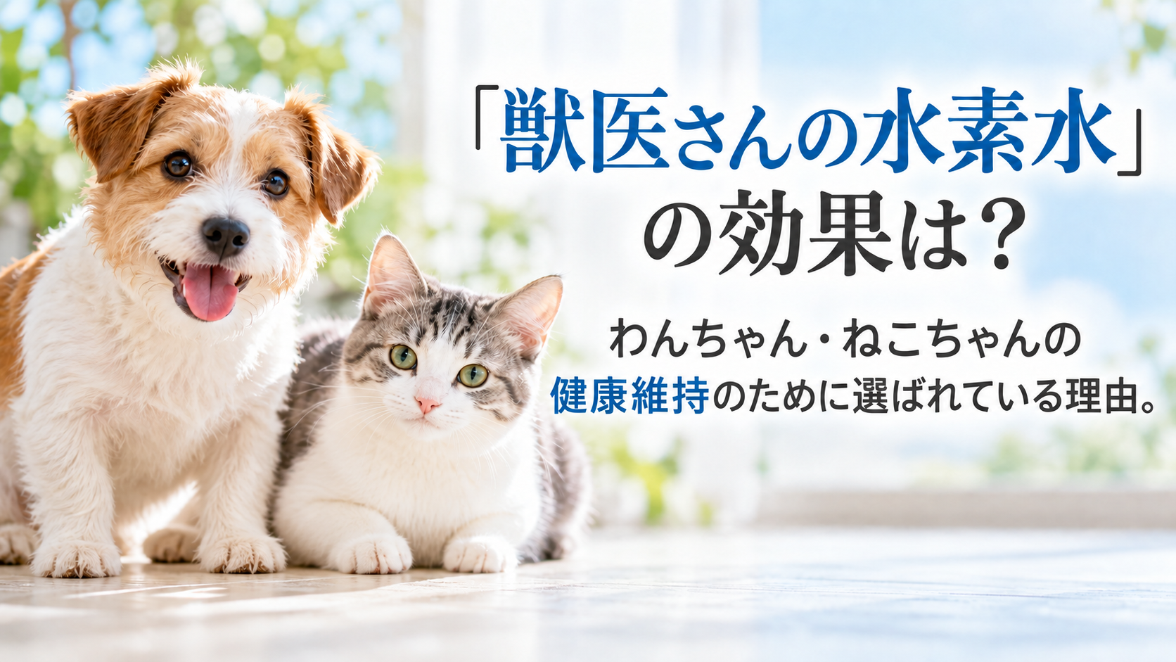 「獣医さんの水素水」の効果は?わんちゃん・ねこちゃんの健康維持のために選ばれている理由